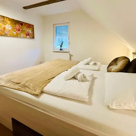 Bergahorn Mit Wintergarten #fernblick#netflix Und Vieles Mehr Von Harztraveler