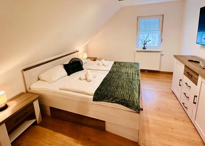 Bergahorn Mit Wintergarten #fernblick#netflix Und Vieles Mehr Von Harztraveler Appartement *